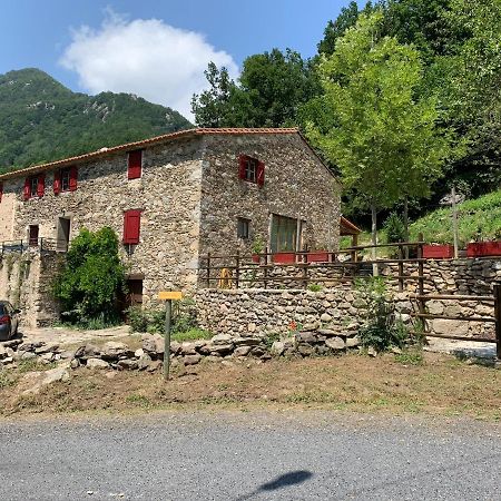 Mas Graffouil Lägenhet Prats-de-Mollo-la-Preste Exteriör bild