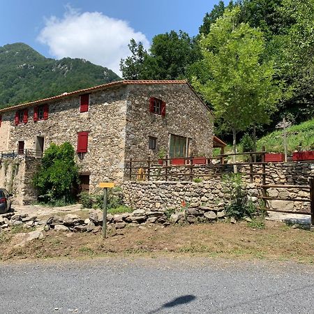 Mas Graffouil Lägenhet Prats-de-Mollo-la-Preste Exteriör bild