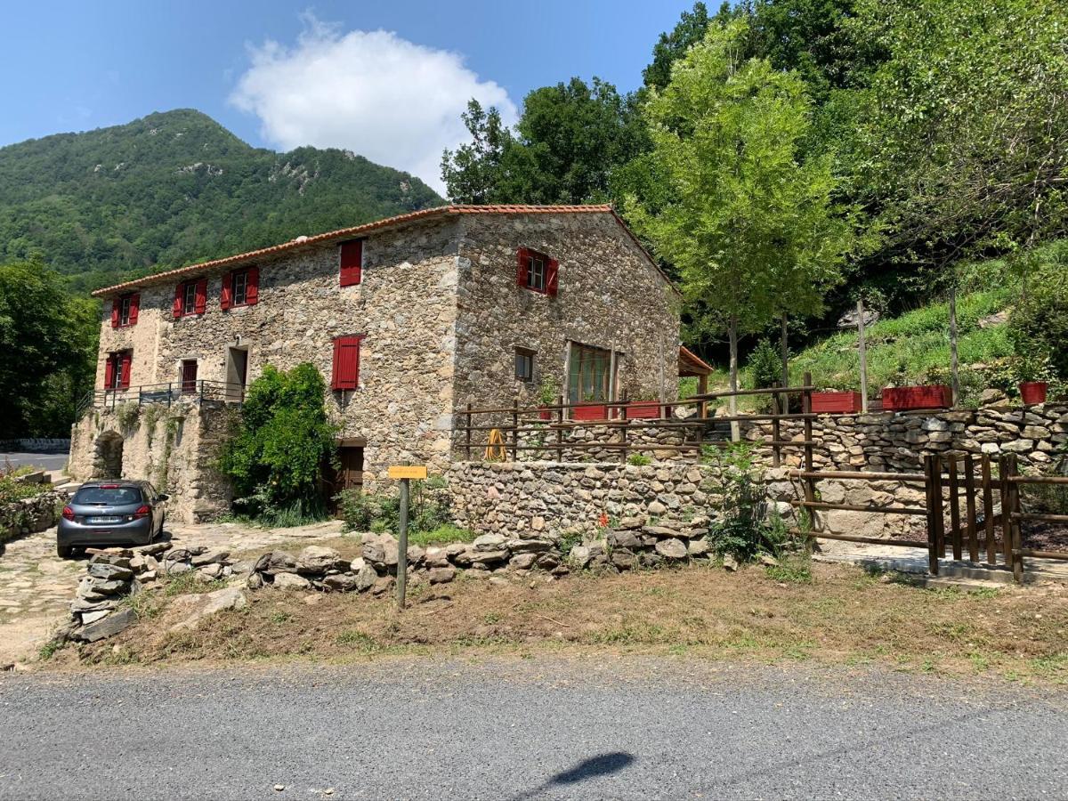 Mas Graffouil Lägenhet Prats-de-Mollo-la-Preste Exteriör bild
