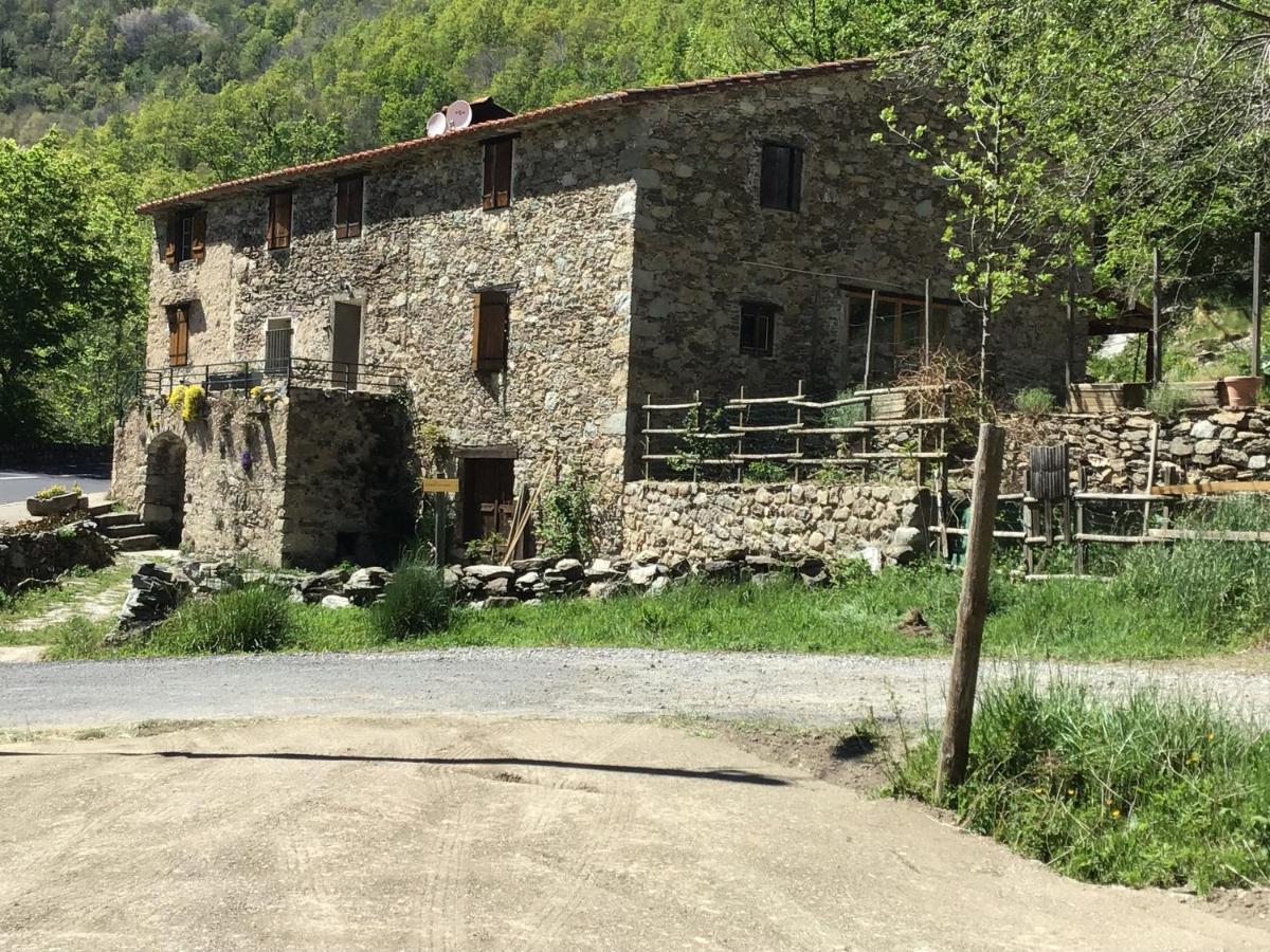 Mas Graffouil Lägenhet Prats-de-Mollo-la-Preste Exteriör bild