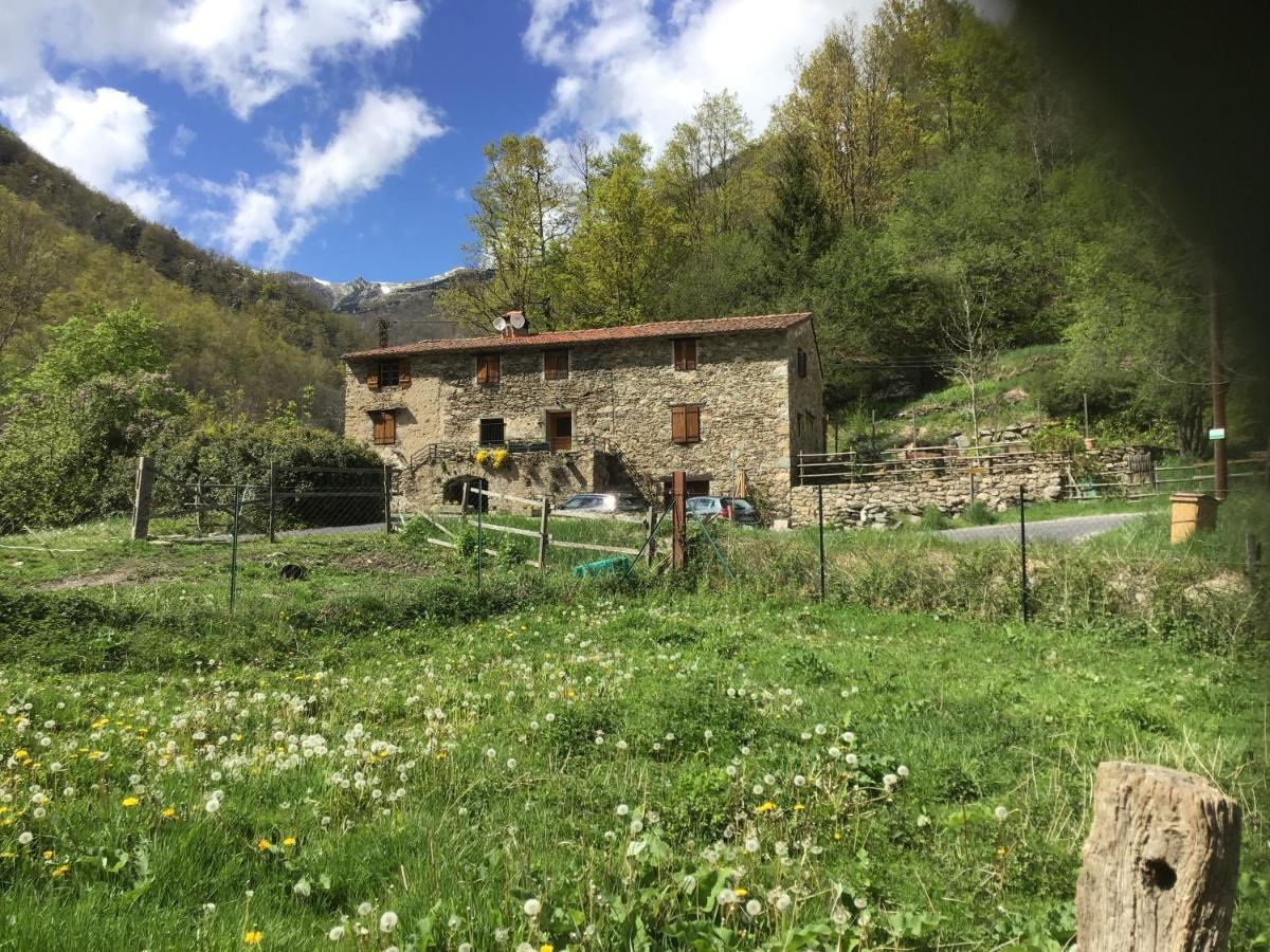 Mas Graffouil Lägenhet Prats-de-Mollo-la-Preste Exteriör bild