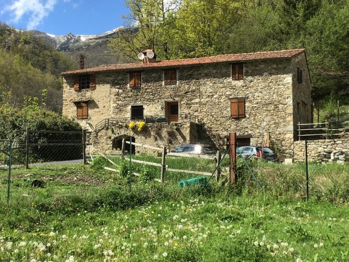 Mas Graffouil Lägenhet Prats-de-Mollo-la-Preste Exteriör bild